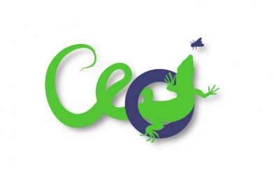 The story behind our logo